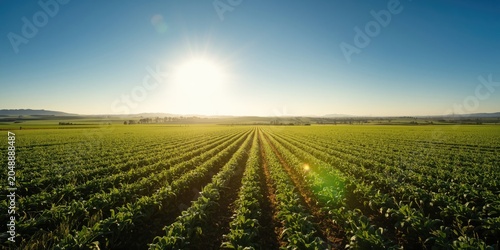 Maximizing returns through investments in resilient fertile farmland