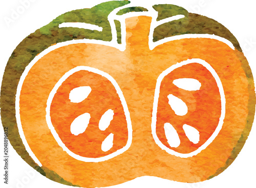 Watercolor pumpkin vegetable icon simplified