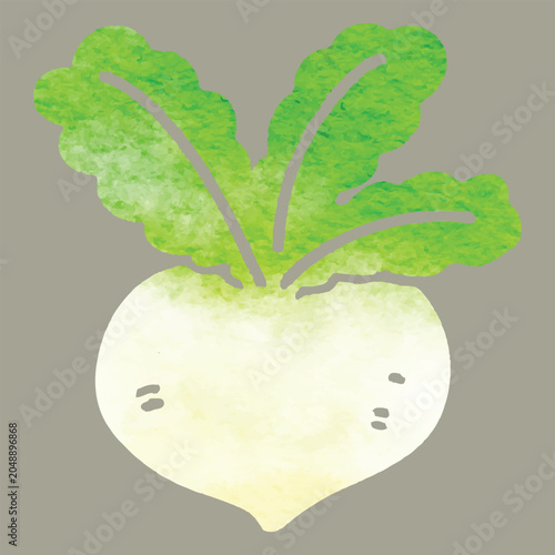 Watercolor radish vegetable icon simplified