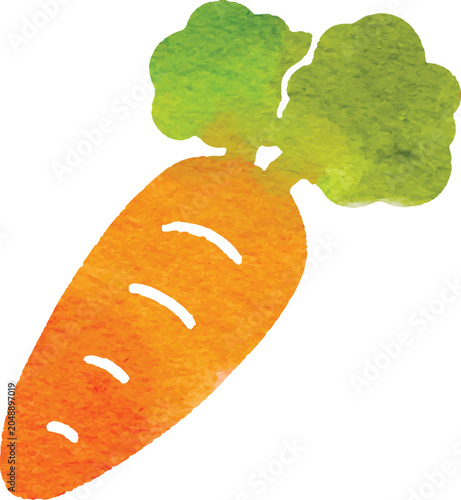 Watercolor carrot vegetable icon simplified