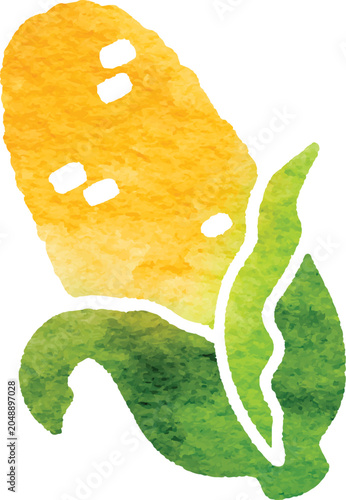 Watercolor corn vegetable icon simplified