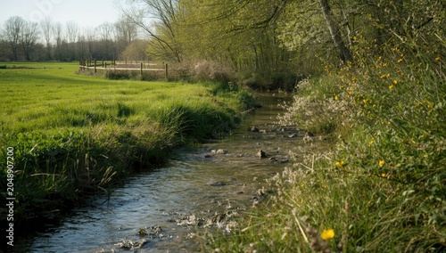 Springtime countryside rive...