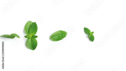 Mint leaf bunch isolated on...