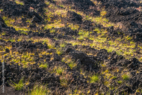 Lava Field Sunrise