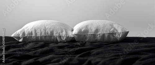 Pair of folded cushions res...