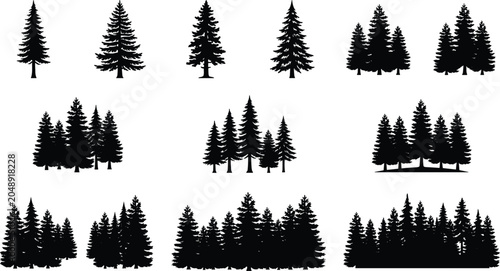 Photos Pine Tree Silhouette Collection with Evergreen Forest Landscape Elements and Con