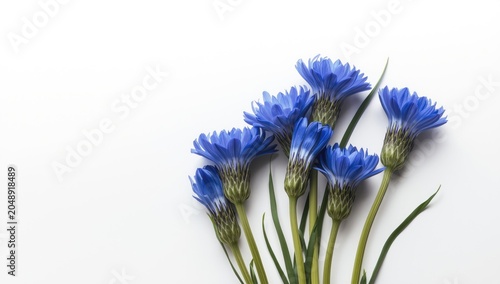 Unique Blue Flower Composit...