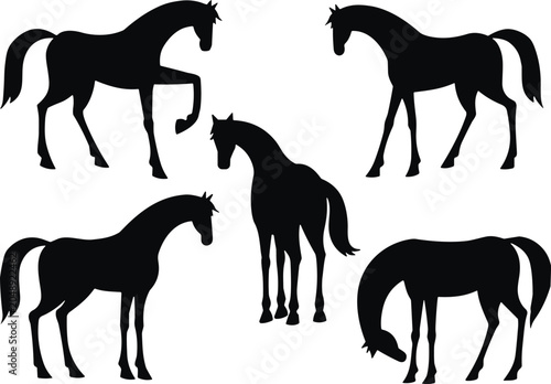 Fotografia Collection of horse silhouettes featuring black shapes of stallions walking stan