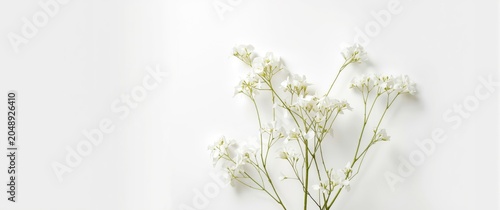 White backdrop featuring de...