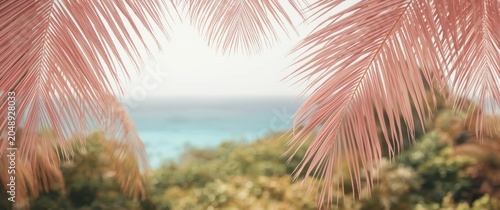 Pastel pink palm tree branc...