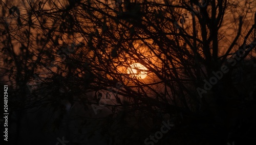 serene sunset glow behind a...