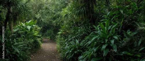 Panel kuchenny z motywem Lush green walkway surrounded by flourishing plants ideal for exploration and exercise