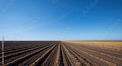 Ploughed agricultural field...