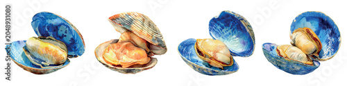 Watercolor illustration displaying bivalve mollusks with opened shells, featuring various edible clam, mussel, and oyster types for seafood, healthy diet, and gourmet themes