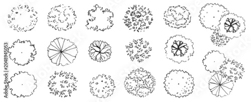 Vector set of Top view  tree for outdoor plan or map and architecture drawing, elements for environment and garden ,botanical elements ,Blooming flowers in spring,tropical plants element