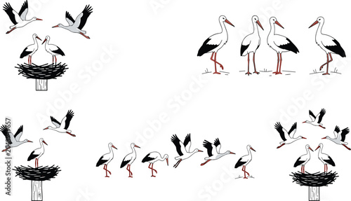 Konstfotografi White stork vector set migratory birds collection flying herons standing cranes