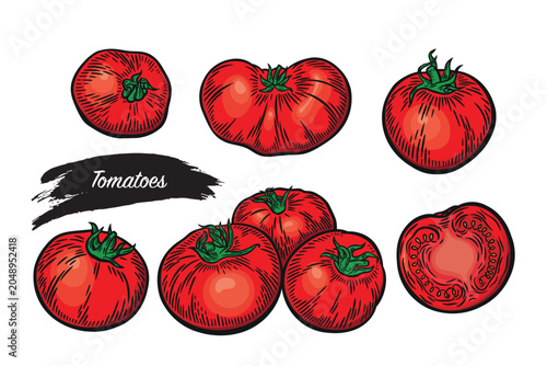 Set of tomatoes in line drawing style