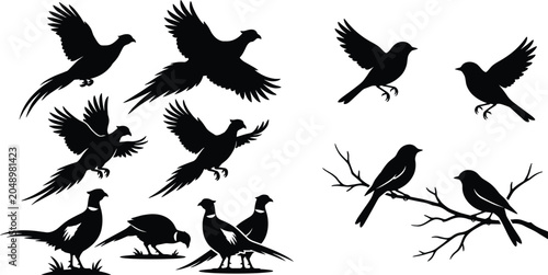 Bild auf Leinwand Black Silhouette Set of Pheasant and Small Birds Flying Standing and Perched on