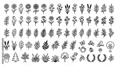 Canvastavla Hand drawn botanical line art icons set with flowers leaves trees and garden ele