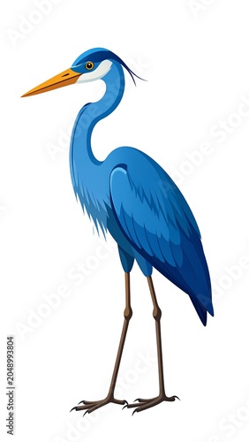Illustration of a blue heron standing tall, isolated on white