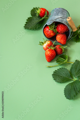 Fresh organic strawberries scattered beside vintage metal bucket