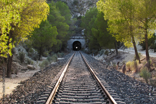 Symmetric railway tracks leading directly into a dark mountain tunnel surrounded by green pine trees.