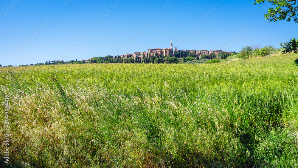 Naklejka premium Panoramic view of the hills and countryside surrounding the village of Pienza (Tuscany village, Italy) during early summertime.
