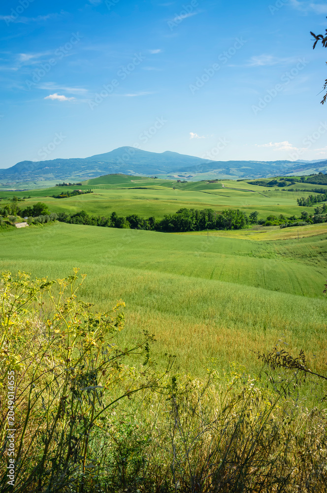 Naklejka premium Panoramic view of the hills and countryside surrounding the village of Pienza (Tuscany village, Italy) during early summertime.