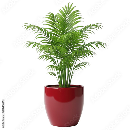 A lush green dracaena plant in a vibrant red pot for indoor decoration