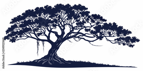 Photos Large spreading oak tree silhouette illustration with silhouette branches illust