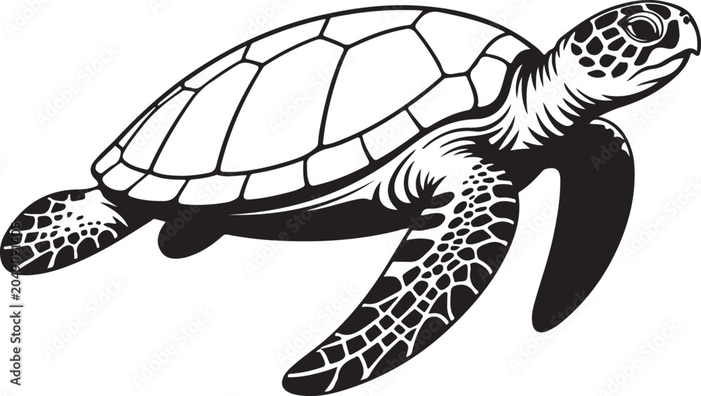 Fototapeta premium Sea Turtle Swimming Isolated on White Background