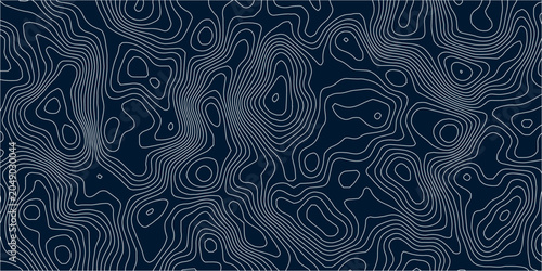 Obraz na plátně Abstract Navy Blue Topographic Contour Lines Pattern with White Elevation Curves, Geographic Terrain Relief and Modern Cartography Map Background Design
