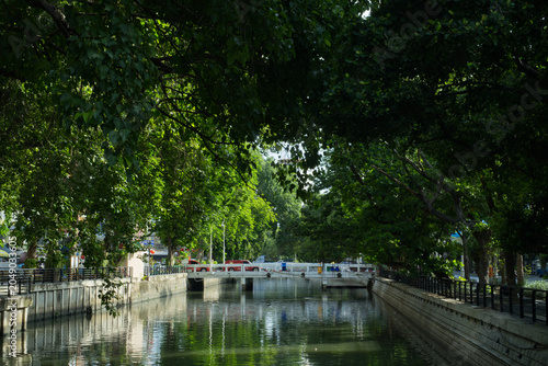The large drainage canal is lined on both sides with big trees.