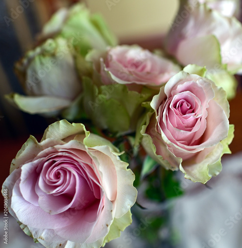 COLORFUL ROSES IN A VASE ON THE TABLE