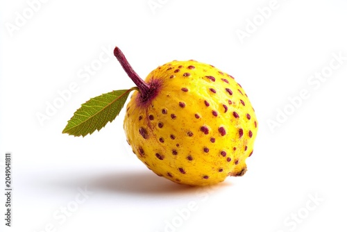 a piece of fruit isolated on withe background