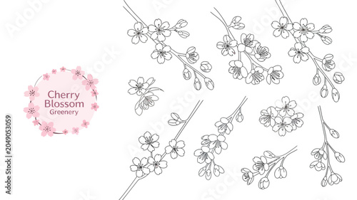 Quadro su tela Cherry blossom branches and flowers a delicate vector illustration with a white