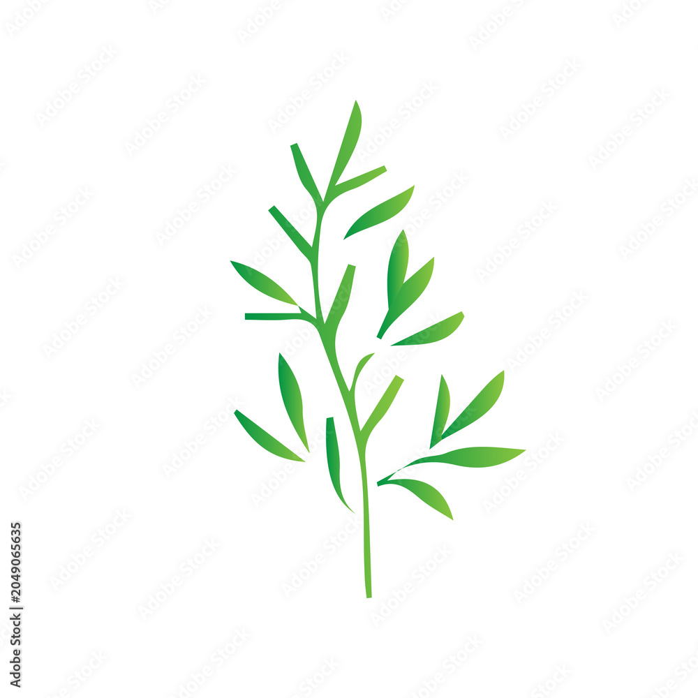 Fototapeta premium Green gradient leaves and tree elements