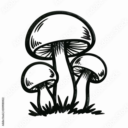 mushrooms on a white background
