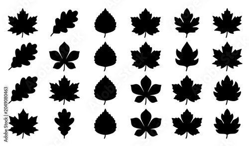 Cuadro en lienzo Set of various autumn maple leaves black silhouettes isolated on white vector