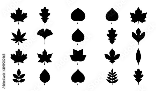 Collection of different autumn tree leaves black silhouettes pattern bundle vector.