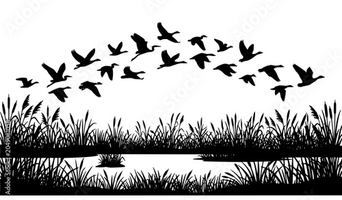Tableau sur toile Flock of wild birds flying over lake swamp grass black silhouette vector
