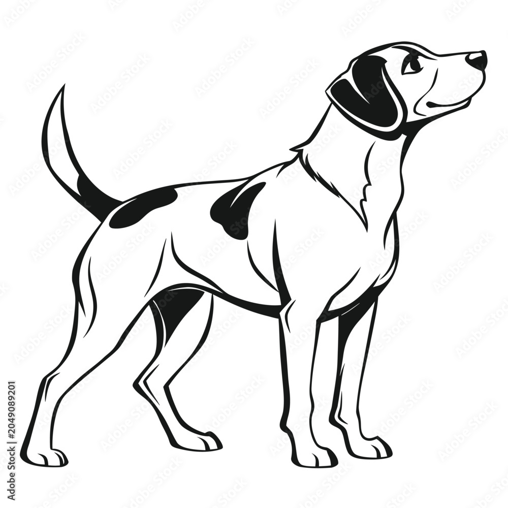 Obraz premium Vector illustration of a standing dog
