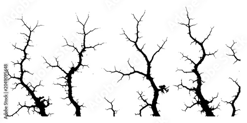 Quadro em tela Bare tree branches and crooked branch silhouettes in a minimalist nature style
