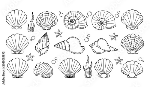 Foto Seashell Collection Hand Drawn Marine Vector Illustration