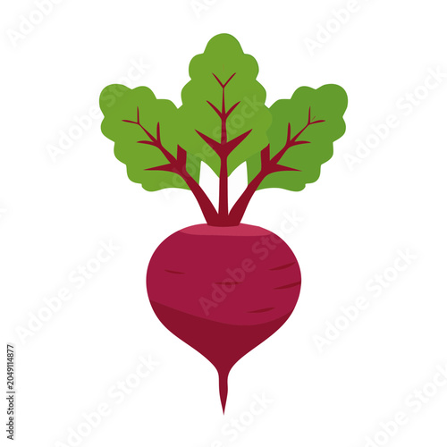 Flat design icon of a beetroot with green leaves