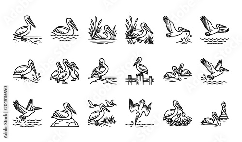 Obraz na płótnie Line art pelican bird near water vector illustration set with coastal wildlife i