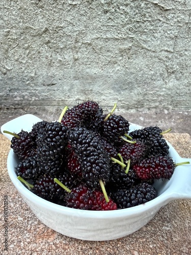 Ripe mulberry berries in a small white bowl, harvesting