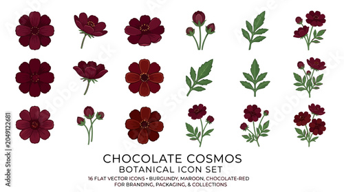 Chocolate Cosmos Flower Vector Illustration | Exotic Botanical Floral Artwork | Elegant Dark Bloom Design