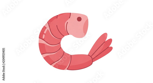Cooked Pink Shrimp Curled Isolated on White Background Minimalist Food Illustration