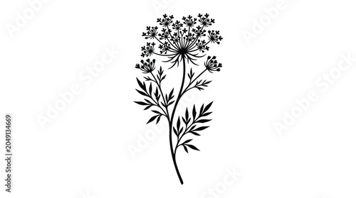 Canvas-taulu Wildflower Stem With Umbel And Foliage Black Silhouette